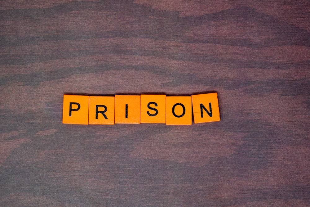 The time it takes for an offender to appear in the system varies based on the correctional facility and the timeliness of processing.